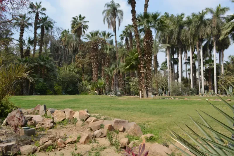 Manial Palace gardens Cairo — rare imported trees surrounding the five-palace complex